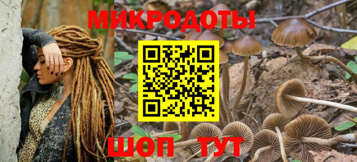 Псилоцибиновые грибы ЛСД Кузнецк