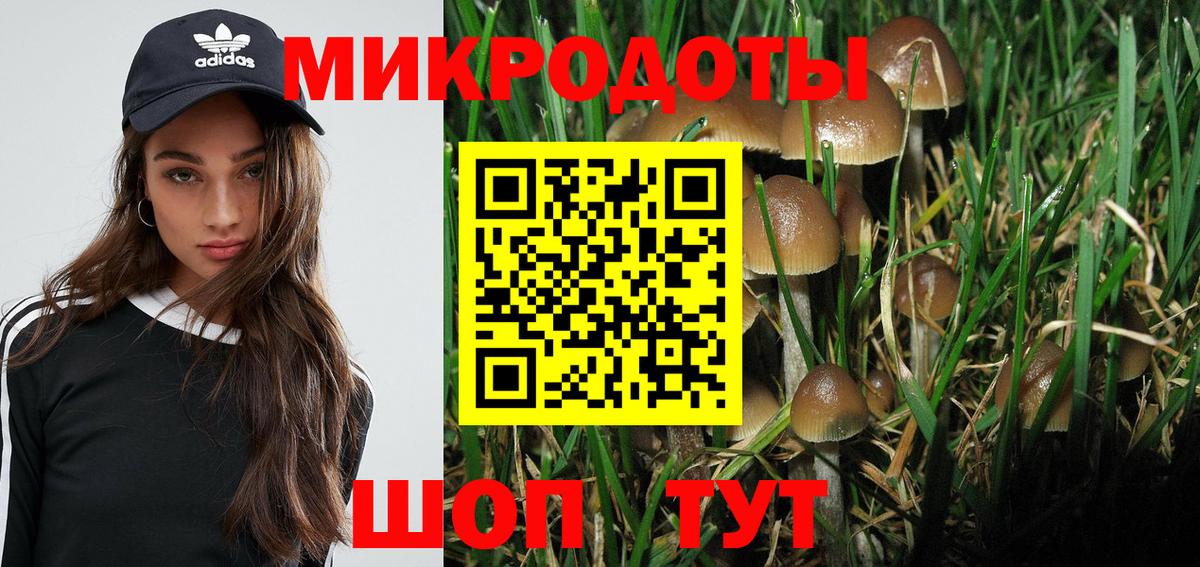 Галлюциногенные грибы Magic Shrooms  где купить наркоту  Кузнецк  Вход с VPN 