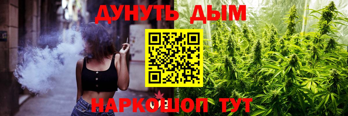 Канабис сатива Кузнецк
