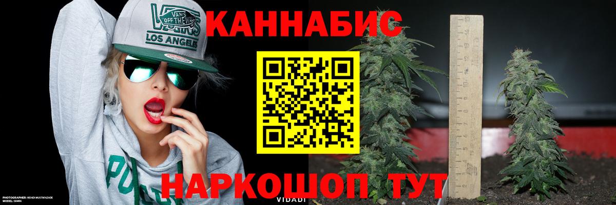 Бошки Шишки ГИДРОПОН  Бошки марихуана ГИДРОПОН  Вход с VPN  Конопля MAZAR  Кузнецк  Бошки Шишки гибрид 